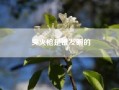 突火枪是谁发明的?宋朝“突火枪”的运作原理是什么?