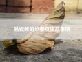 贴瓷砖的步骤及注意事项_贴地砖的方法与技巧