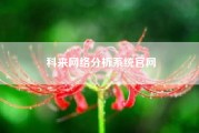 科来网络分析系统凯发官网入口首页官网(我家电视连网的看不了了，出现网络异常请检查网络900是怎么回事)