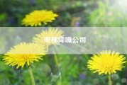 电梯降噪公司？电梯噪音怎么才能处理？