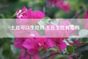 土豆可以生吃吗,土豆生吃有毒吗（土豆能不能生吃 土豆可以生吃吗）