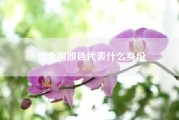 安全帽颜色代表什么身份(安全帽颜色哪个级别高)