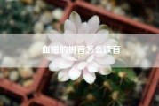 血脂的拼音怎么读音-血压.血糖.血脂的单位正确汉字读音?