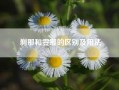 刹那和霎那的区别及用法~~“刹那”和“霎那”有什么区别