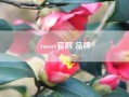 russet凯发官网入口首页官网 品牌,说一些颜色的英语?越多越好!?