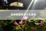 籴米和粜米是什么意思-粜稻什么意思啊