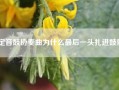 定音鼓协奏曲为什么最后一头扎进鼓里（关于贝多芬作品的一些问题）