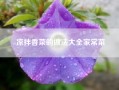 凉拌香菜的做法大全家常菜（凉拌香菜的常见做法）