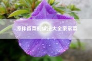 凉拌香菜的做法大全家常菜（凉拌香菜的常见做法）