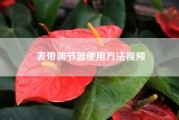 表带调节器使用方法视频；怎样调劳力士表带？