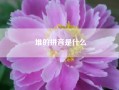 堆的拼音是什么__堆的拼音?