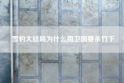 雪豹大结局为什么周卫国要杀竹下~我想知道雪豹的结局…周卫国怎么样了…？