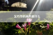 乞巧节的来历是什么（乞巧节的来历和风俗）