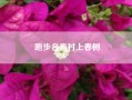 跑步名言村上春树（奔跑的名言警句）