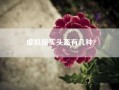 虚拟现实头盔有几种?？当前vr头盔真实度是多少？