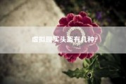 虚拟现实头盔有几种?？当前vr头盔真实度是多少？