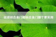 钛镁铝合金门和铝合金门哪个更实用--钛镁合金门和铝合金门哪个好