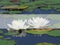 天玑9200?天玑920相当于骁龙什么?