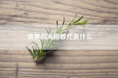 波罗的海指数代表什么~~波罗地海指数的指数计算的规则？