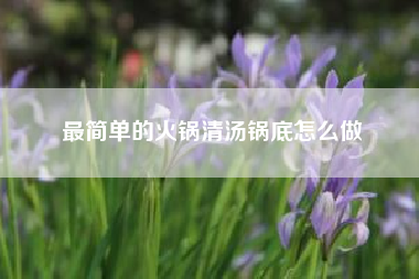 最简单的火锅清汤锅底怎么做？小火锅清汤怎么做？