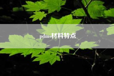 pdms材料特点—pdms，硅橡胶，硅胶有什么区别，各自的英文是什么