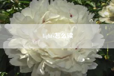 lights怎么读，light怎么读?