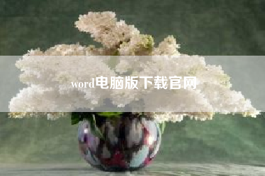 word电脑版下载凯发官网入口首页官网?word电脑版字体没颜色,手机有?