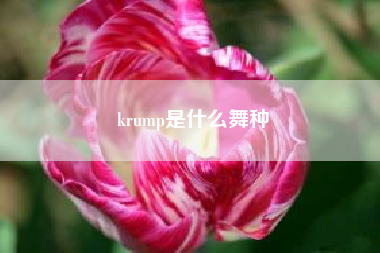 krump是什么舞种—breaking是不是地板舞?