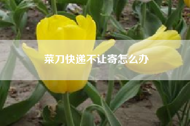 菜刀快递不让寄怎么办-菜刀可以寄快递吗