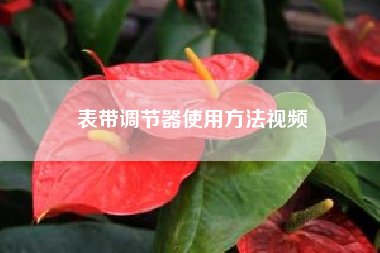 表带调节器使用方法视频；怎样调劳力士表带？