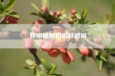 蜉蝣撼树和蚍蜉撼树?蚍蜉撼树的意思 蚍蜉撼树是什么意思?