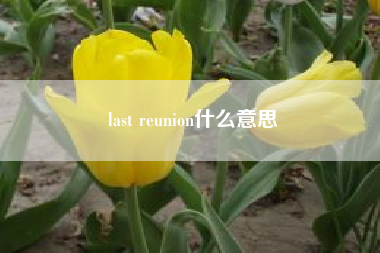 last reunion什么意思__last是什么意思