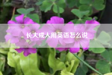 长大成人用英语怎么说(成人用英语怎么说)