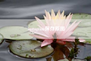 instagram保存原图!怎么把ins的照片保存到手机上?